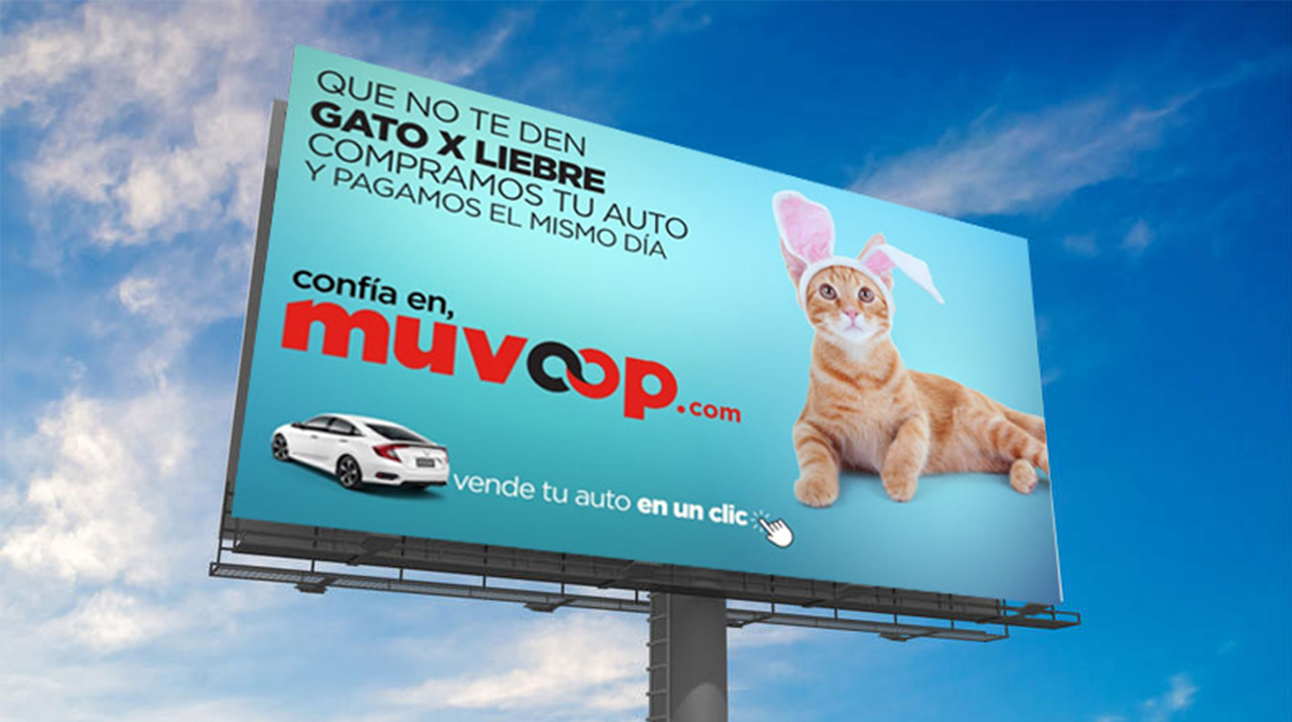 Gato por Liebre